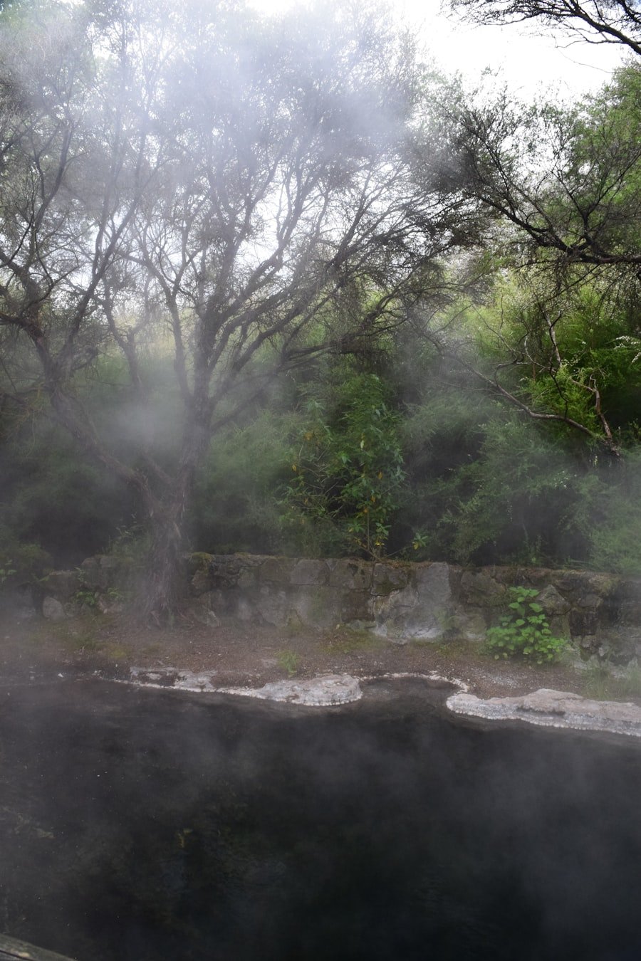 Geothermal terraces and rising steam at Rotorua